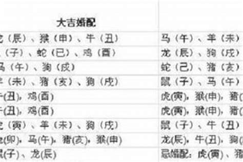 1997年 生肖|1997年属什么属相 1997年属什么生肖